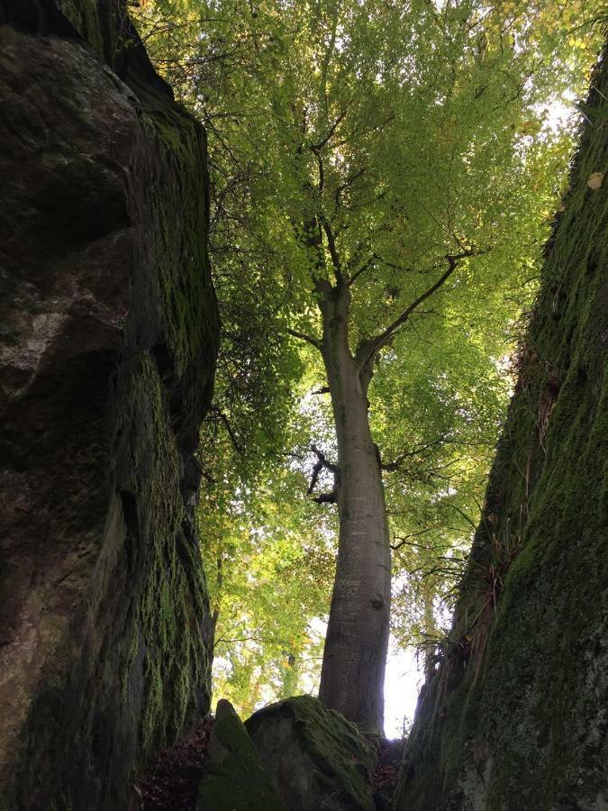 Pension Zum Golfstuebchen Echternacherbruck Exteriér fotografie